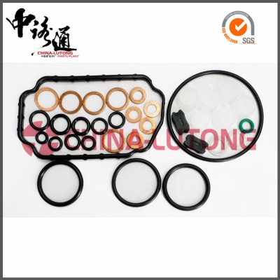 5.9 cummins engine overhaul kits 2 417 010 022 repair kit for AUDI Image