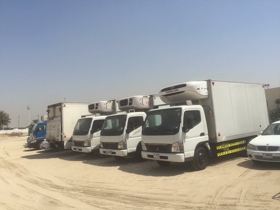 Cool Freights Transport Rental Chiller Truck, Freezer Truck and Chiller