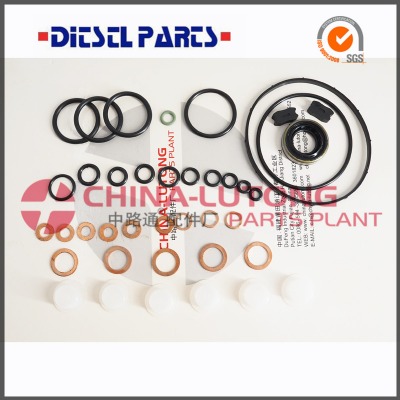 injection pump repair kit-diesel pump repair 800718 2 417 010 021 Image