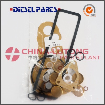 bosch ve injection pump rebuild 2 417 010 010 800019 Image