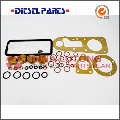 injector pump rebuild 800005 1 417 010 002 cav diesel injection pump repair Image