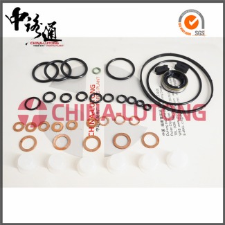 diesel engine rebuild kits 402671 diesel fuel pump parts Image