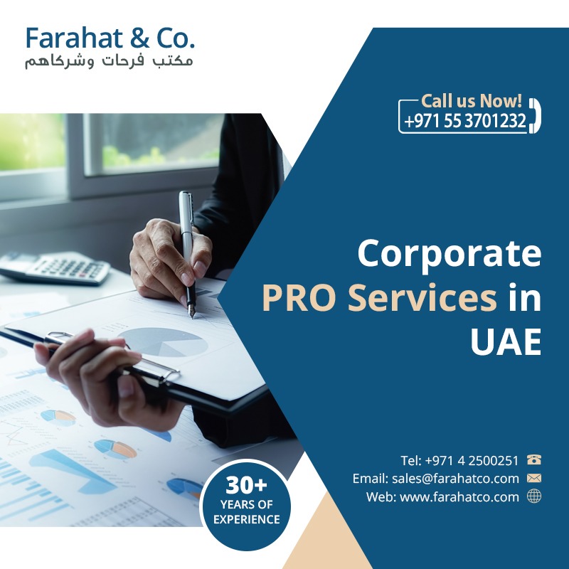 PRO Services in Dubai - Outsource Your PRO Services in UAE - Services ...